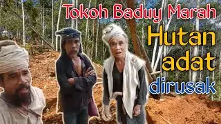 Kemarahan Tokoh Baduy karena Hutan adat dirusak