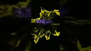 приветствую на канале игрок ромер