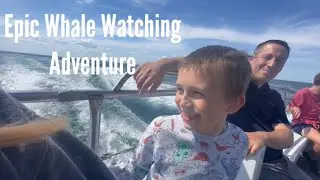 Our Epic Whale Watching Adventure….this is the closest a Fin Whale has gotten to the boat