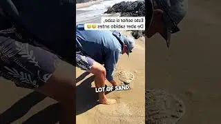 Scary Sand Fleas 😰