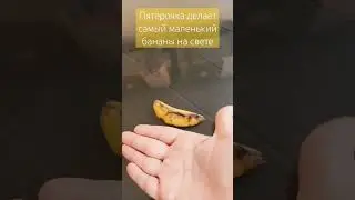 12 ноября 2023 г.