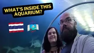 Budget Travel Adventure: Exploring a Hidden Thailand Aquarium on Motorbike! 🐠🌴