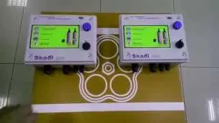 Пульт для насосов  SKADI +781233366070