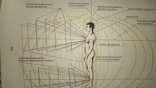 Спас. Полевая система А.М. Скульский.