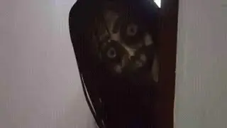 you