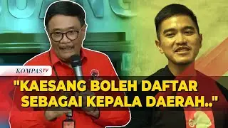 Djarot PDIP Sebut Kaesang Bisa Maju Pilkada Tingkat Kabupaten atau Kota