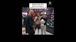 Шовхал Чурчаев: Я гангстер здесь! 🤣🤦‍♂ Как это возможно!?