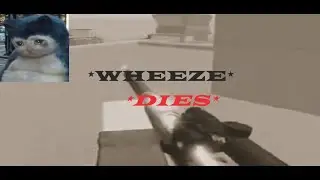 *𝙒 𝙃 𝙀 𝙀 𝙕 𝙀*