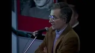 Noam Chomsky: Human Nature and Human Rights | Common Sense and Freedom (1990)