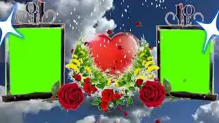 Green screen background flower animation effects frame video
