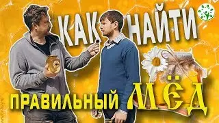 КАК НАЙТИ ПРАВИЛЬНЫЙ МЁД | ВСЁ О МЁДЕ И НЕ ТОЛЬКО