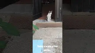 La prima uscita di SUNNY #tiktok