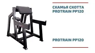 Скамья Скотта Protrain PP120