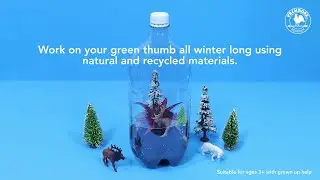 Winter Terrarium STEAM Activity
