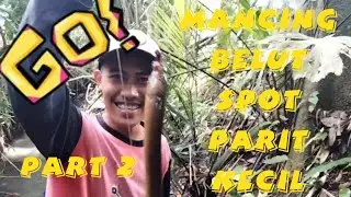 mancing belut spot parit kecil part 2 || belutnya lumayan besar-besar guys