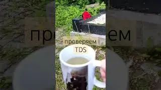 гнилой ручей / TDS / серафимовское кладбище