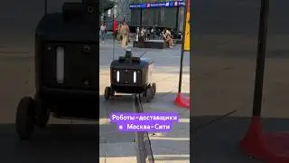 А ВЫ УЖЕ ВИДЕЛИ ЭТИХ МИЛАШЕК? #shorts