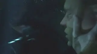One of the worst movies of all time.... has a good (female) scuba scene!