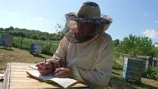 Two-queen method of beekeeping. Answers to subscribers' questions. Diaphragm. What is it and what...