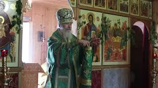 Проповедь епископа Амвросия (Тимрота) в среду Пятидесятницы, 26 июня 2024 года