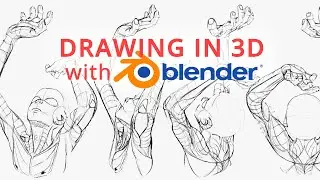 3D Anatomy Drawings with Blender Grease Pencil