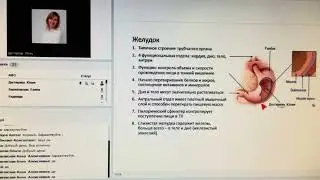 Так нужно ли часто кормить (кошек)?