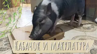 Эксперт по бумаге в деле