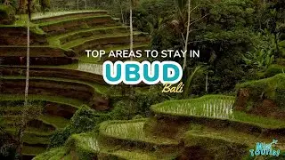 🌴 Local Guide: Where to Stay in Ubud - EPIC Villas!