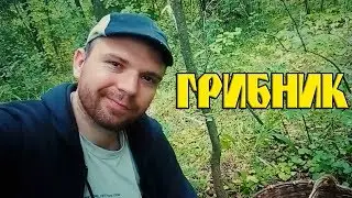 Грибник