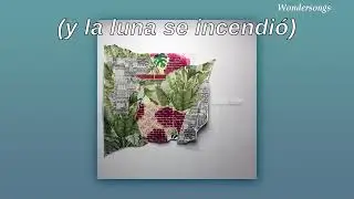Sus Animales - Rosario Bléfari (Letra)