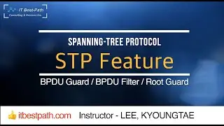 STP Feature - BPDU Guard / BPDU Filter / Root Guard