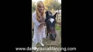 Dainty Rascal Dancing Horse Rescue Stories