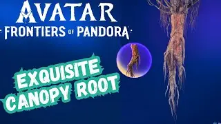 Avatar Frontiers Of Pandora | Exquisite Canopy Root Location