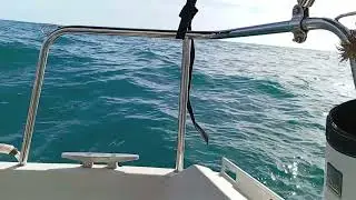 Navegando en Vilanova