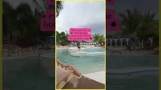 Pool day, all day! 🌊
