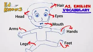 PARTS OF THE BODY IN ENGLISH