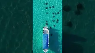 Stingray City Sandbar