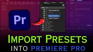 Import Presets into Premiere Pro in ONE minute (2024)