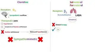 Long acting beta 2 agonists (LABA) - in Arabic
