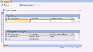 SAP Treasury Configuration - Define Number Ranges for Business Partner