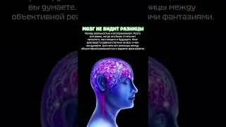 Мозг не видит разницы • #реальность #энергия
