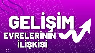 Gelişim Evrelerinin İlişkisi