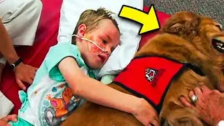 Sick Boy Says 'Goodbye' To Dog, But A Miracle Happens When The Dog Lays Next To Him...