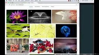 CSS float property - W3Schools | CSS Layout - float and clear - W3Schools