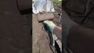#дача #дачные #супергерои #молот #Тор #магия
