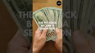 The $3.95 Pet Rock That Made Millions 💰 🔥 | #shorts #daily_life_quotes #successful #motivation
