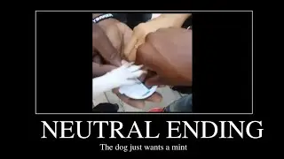 What the dog doin? ALL ENDINGS