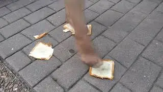 Nylons & Bread by Melania