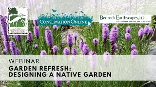 Garden Refresh: Designing a Native Garden