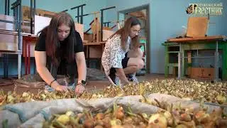 Возможность заработать